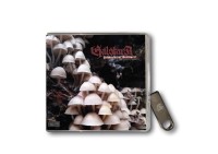 Galstarr - Halbdeutscher Waldläufer *USB-VERSION* Galstarr - Halbdeutscher Waldläufer *USB-VERSION*